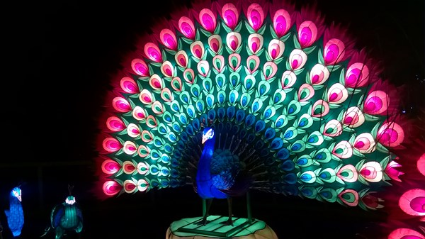 2017 12 29 16