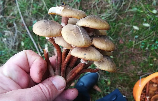 2018 10 19 9