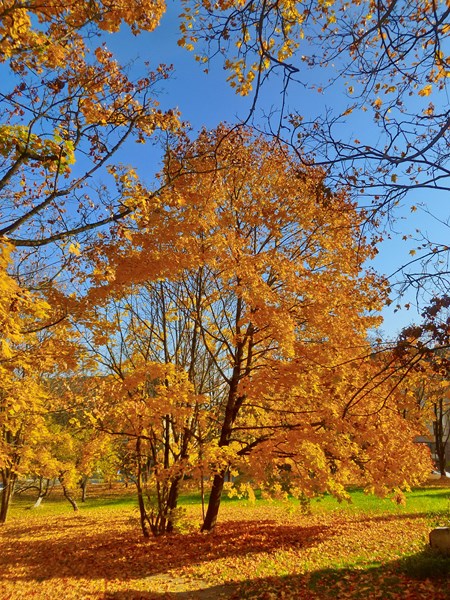 2018 10 22 5