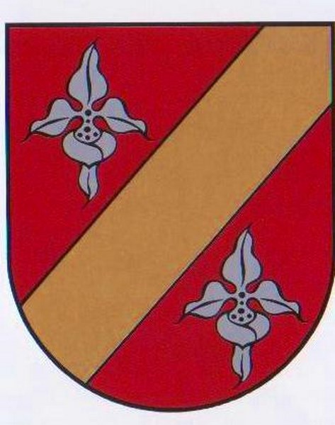 2019 03 13 6