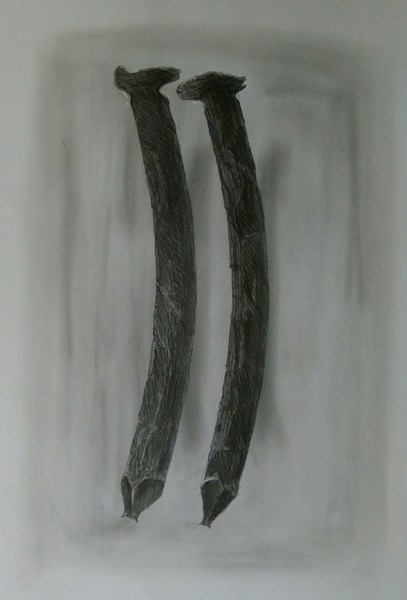 2019 12 07 6