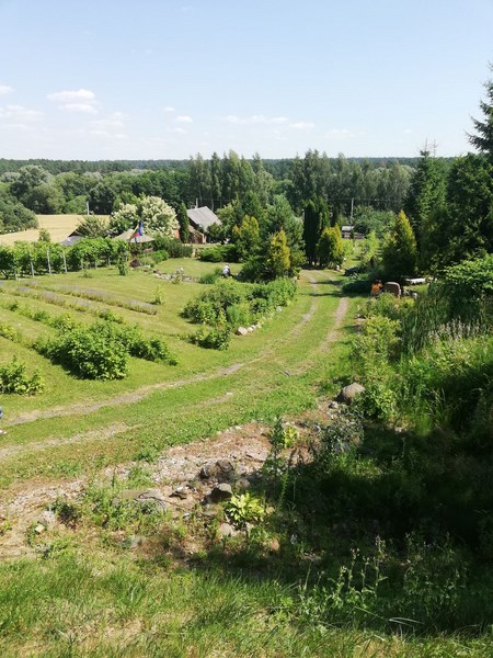 2021 07 24 4