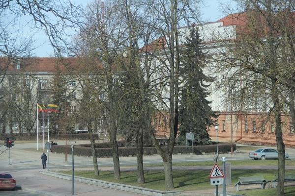 kolegija