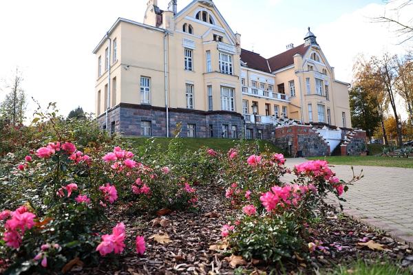 rozes007
